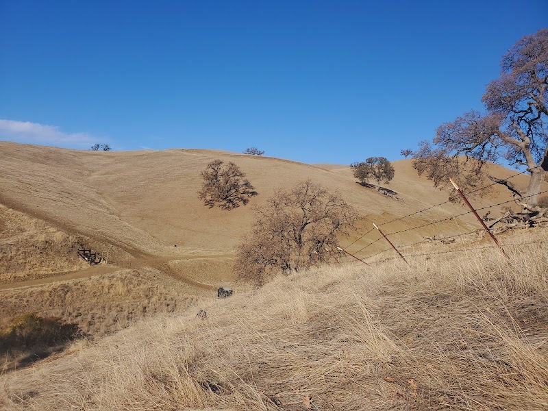 Upper Fields photo 5