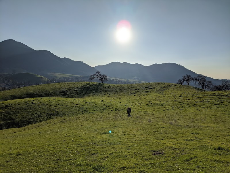 Photo of Upper Fields