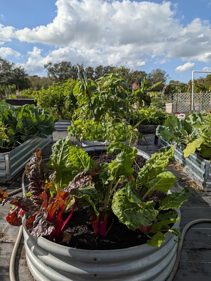Tillers &Toilers Garden Club photo 3