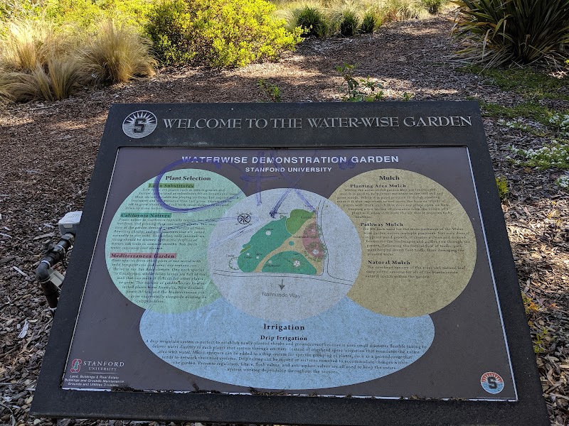 Photo of Water-wise Garden
