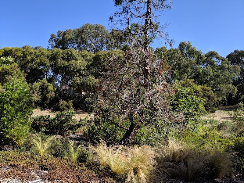Water-wise Garden photo 3
