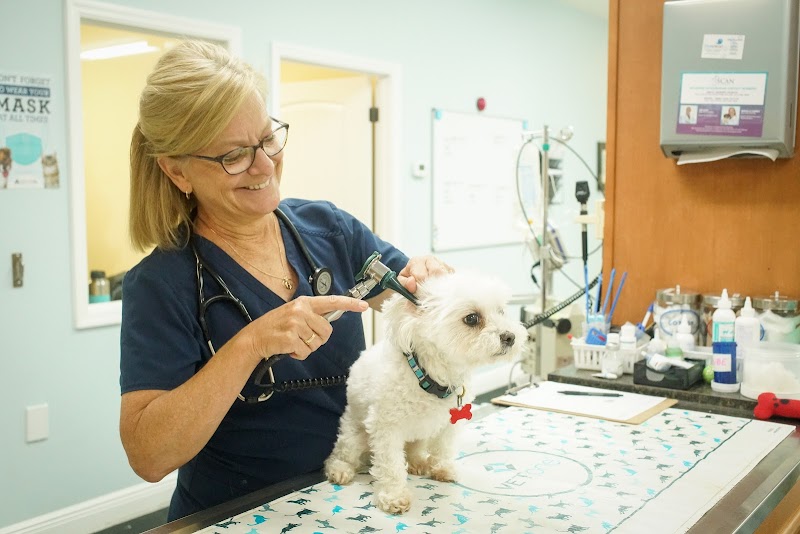 Spring Hill Animal Clinic photo 3