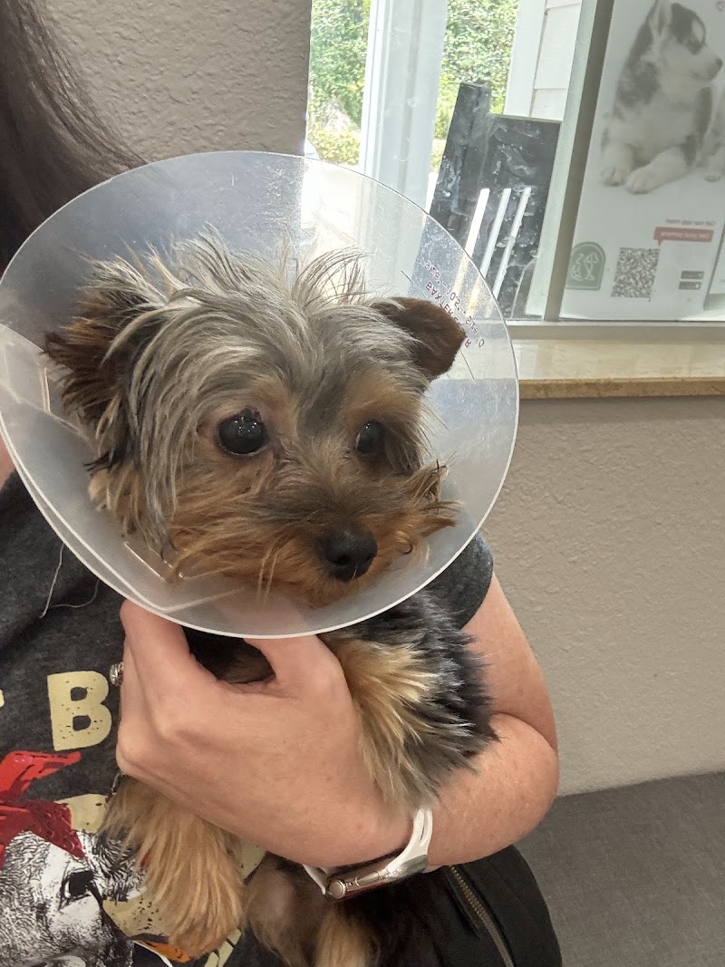 Spring Hill Animal Clinic photo 2