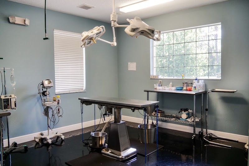 Spring Hill Animal Clinic photo 5