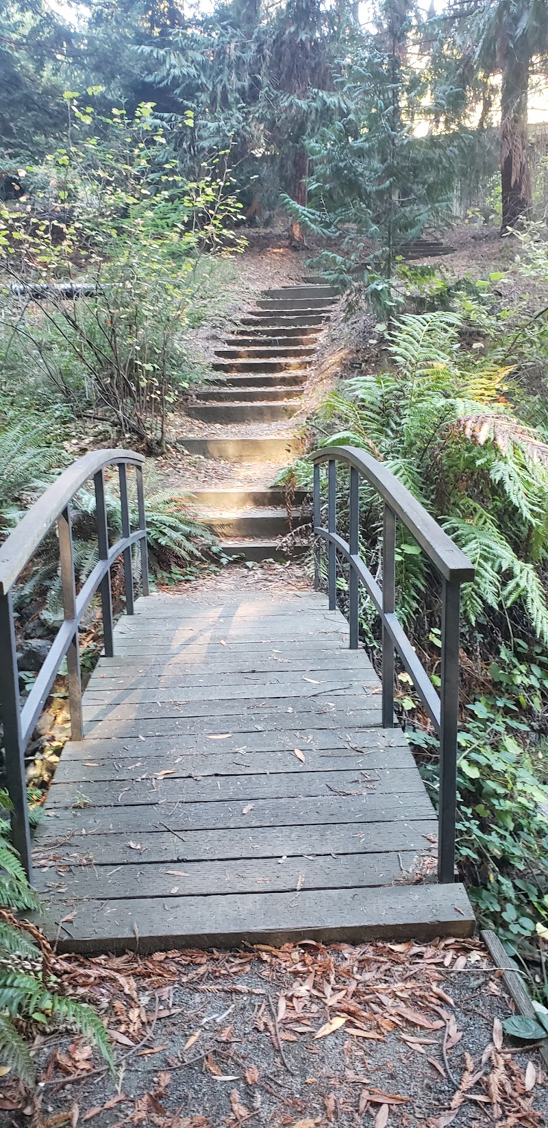 Redwood Grove Amphitheatre photo 4