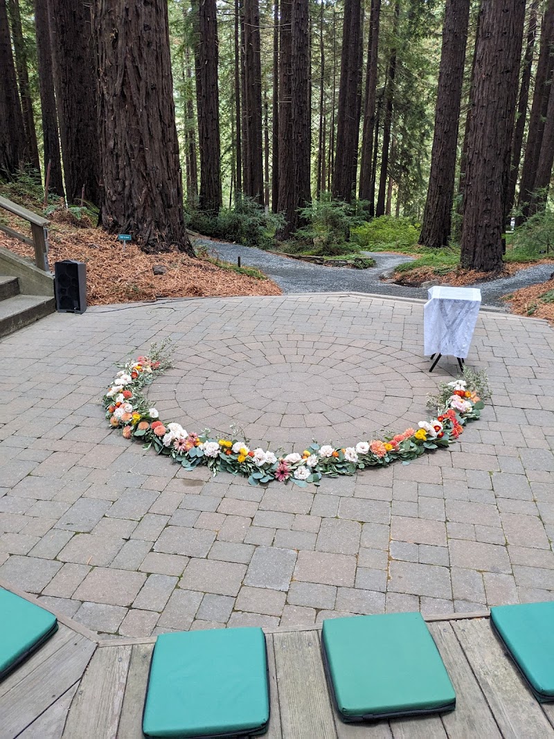 Redwood Grove Amphitheatre photo 2