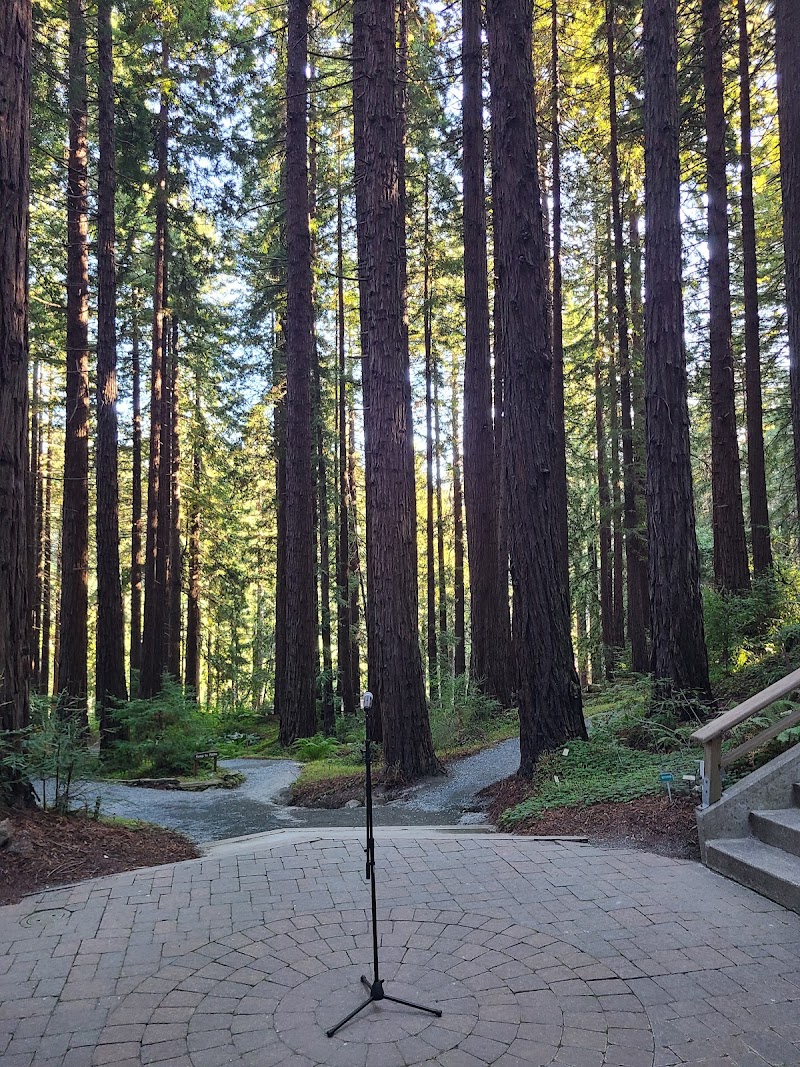 Photo of Redwood Grove Amphitheatre