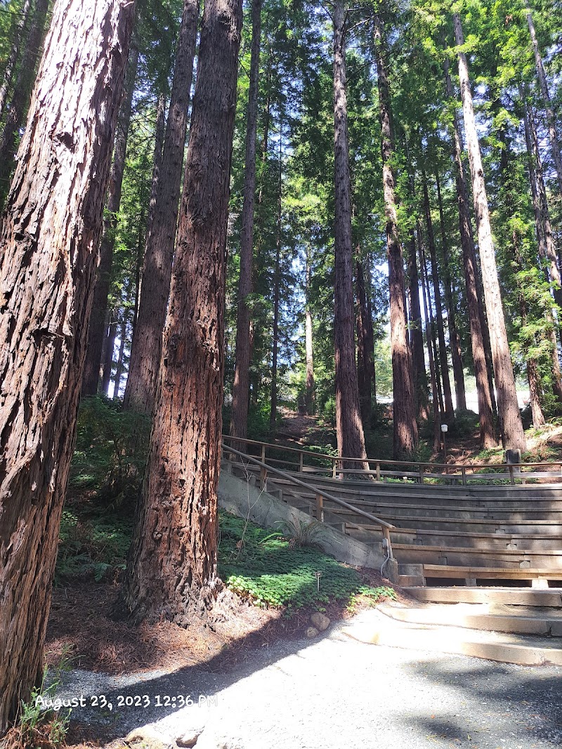 Redwood Grove Amphitheatre photo 5