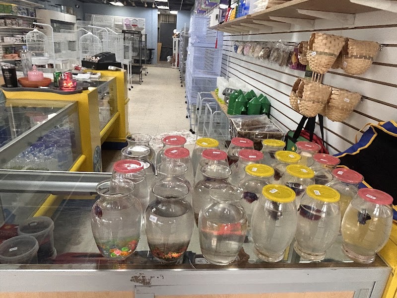 Mermaid’s Animal Petshop photo 4