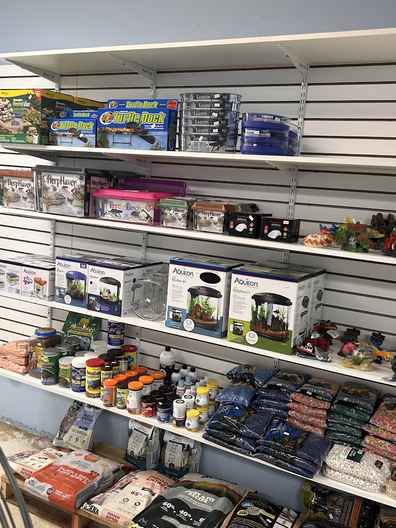 Photo of Mermaid’s Animal Petshop