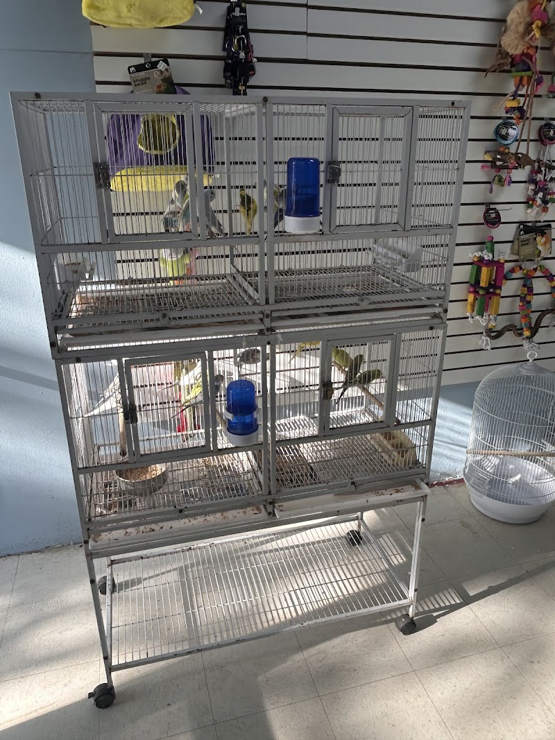 Mermaid’s Animal Petshop photo 2