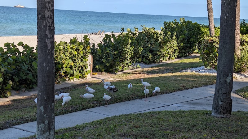 Sonrisa & Aldea Condo Rental Belleair Beach photo 3