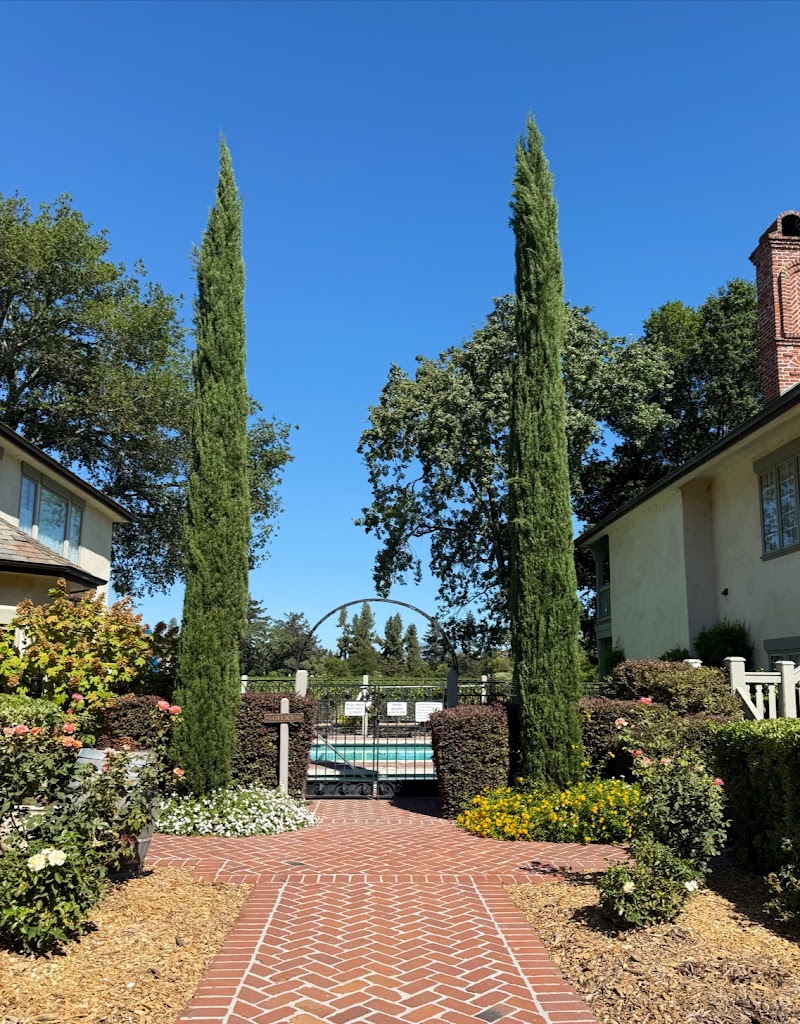 Vineyard Country Inn photo 4