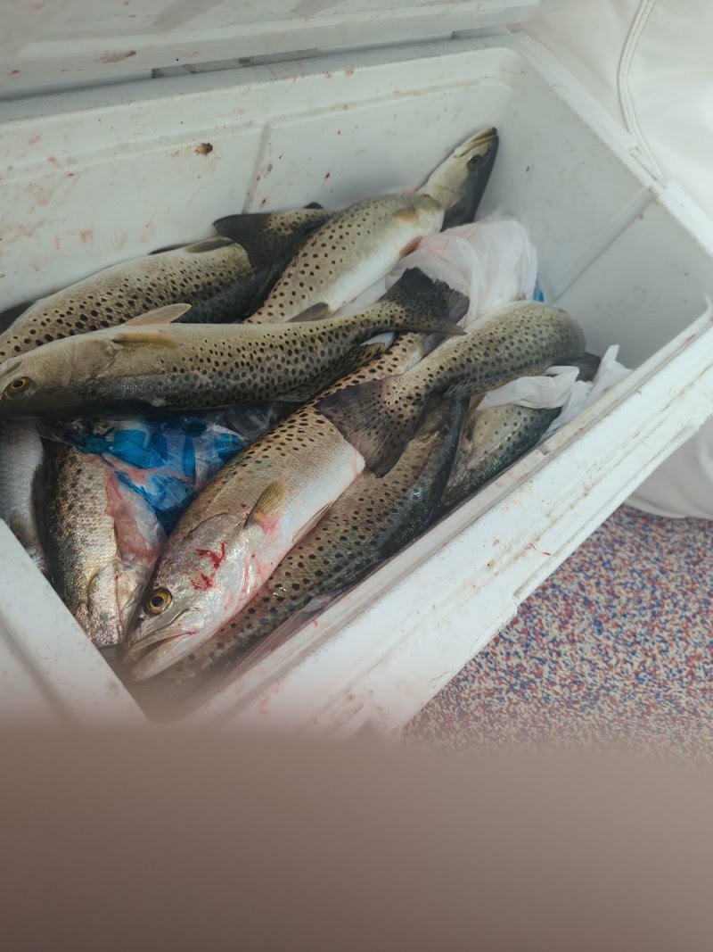Freedom Fishing & Fowl photo 3