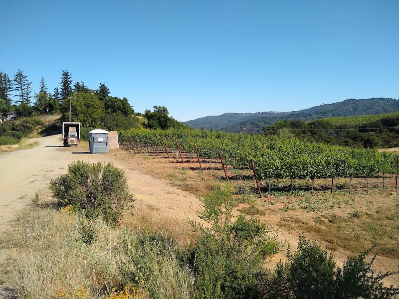 Lago Lomita Vineyards photo 5