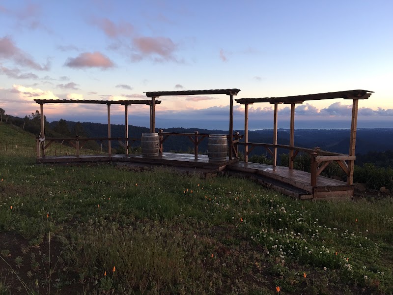 Lago Lomita Vineyards photo 4
