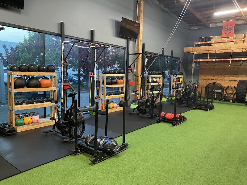 Elite Fitness Co. photo 2