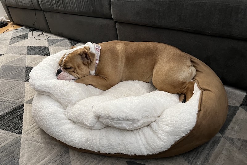 Bay Area Peaceful Pet Care LLC photo 2