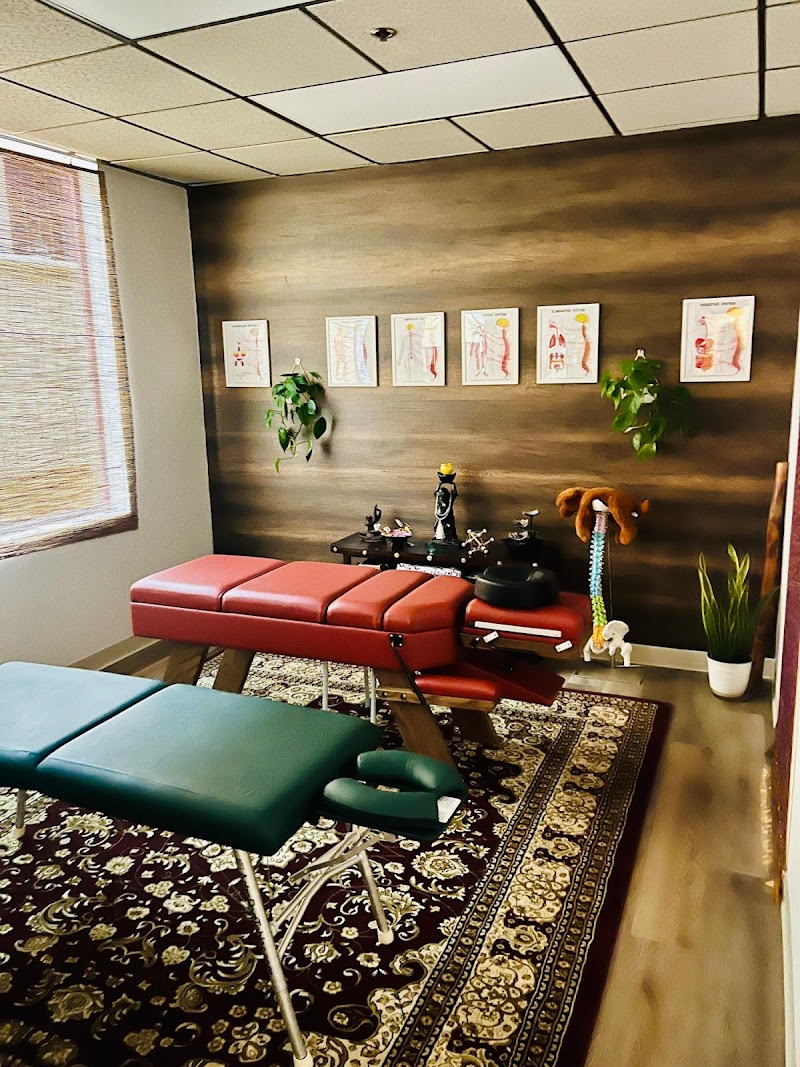 Whole Light Chiropractic | Dr. Nate Patocchi DC, Inc. photo 2