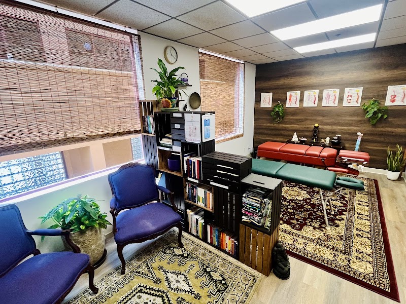Whole Light Chiropractic | Dr. Nate Patocchi DC, Inc. photo 4
