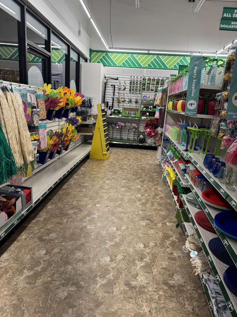 Dollar Tree photo 5
