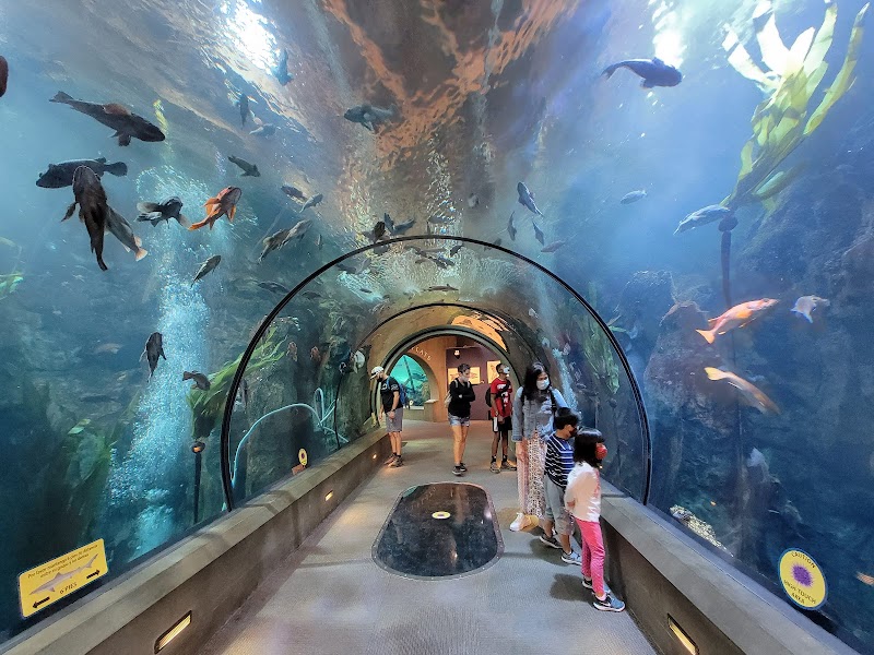Photo of Oregon Coast Aquarium