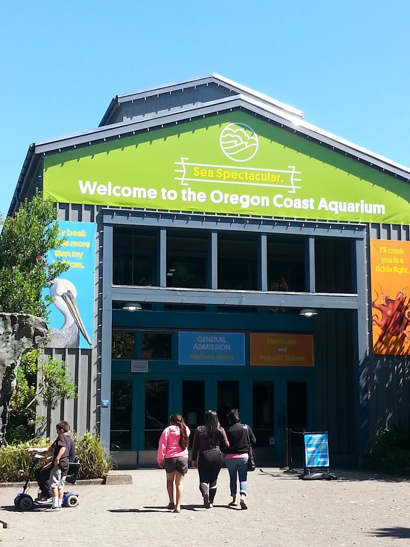 Oregon Coast Aquarium photo 2
