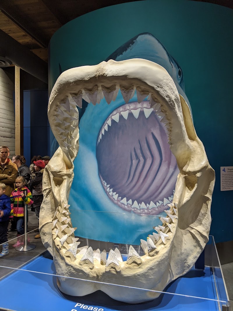 Oregon Coast Aquarium photo 3