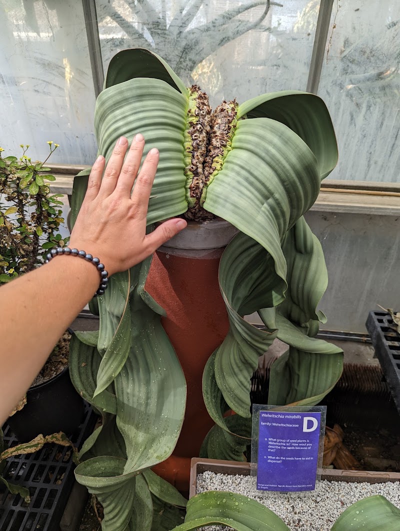 UC Davis Botanical Conservatory photo 5