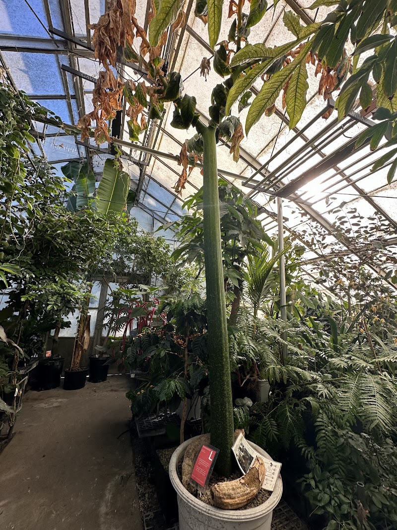 UC Davis Botanical Conservatory photo 2