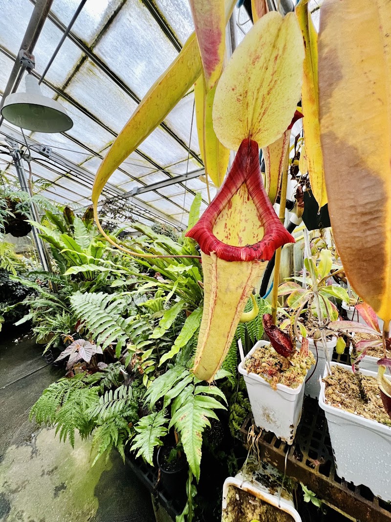 UC Davis Botanical Conservatory photo 4