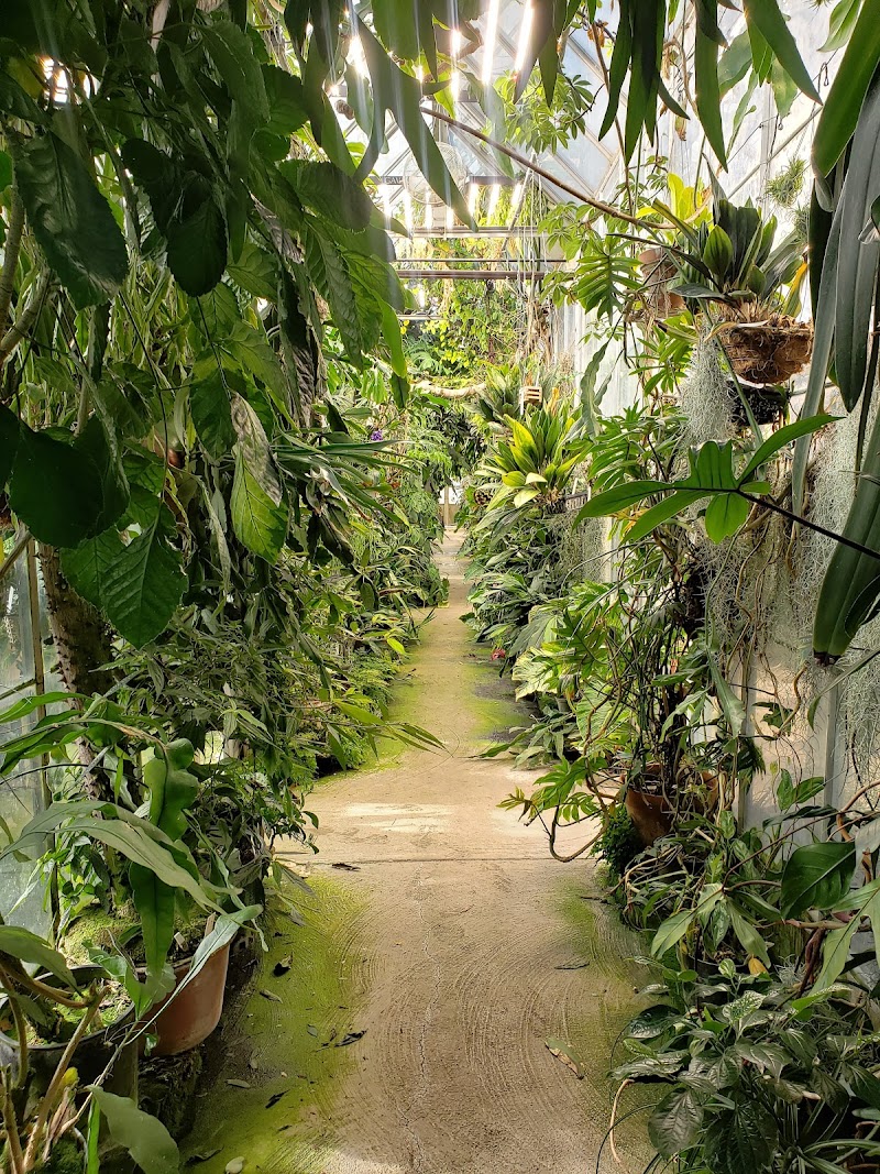 Photo of UC Davis Botanical Conservatory