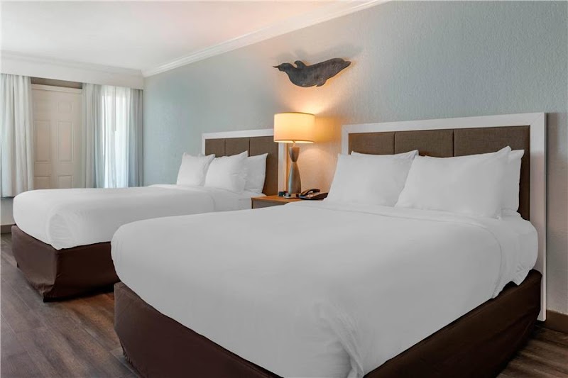 Dolphin Sands Clearwater Beach, an Ascend Collection Hotel photo 2