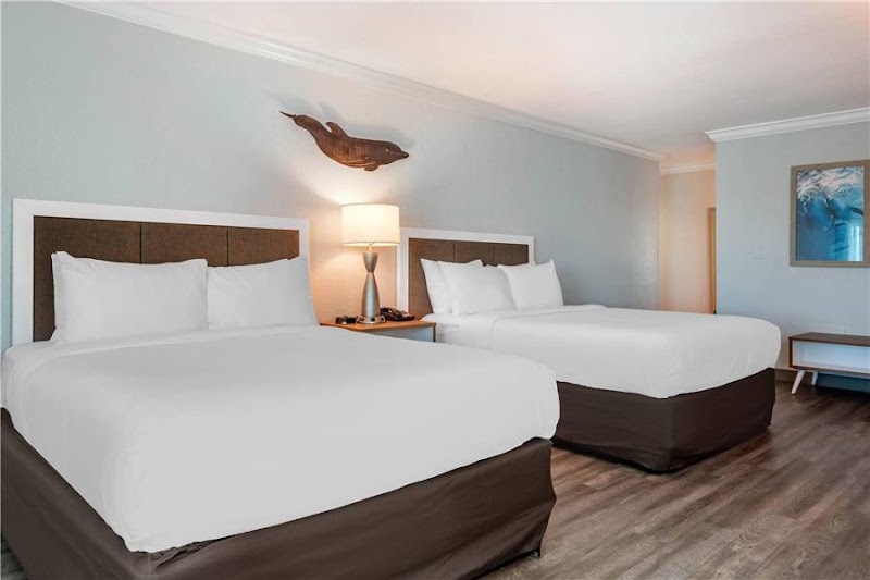 Dolphin Sands Clearwater Beach, an Ascend Collection Hotel photo 5