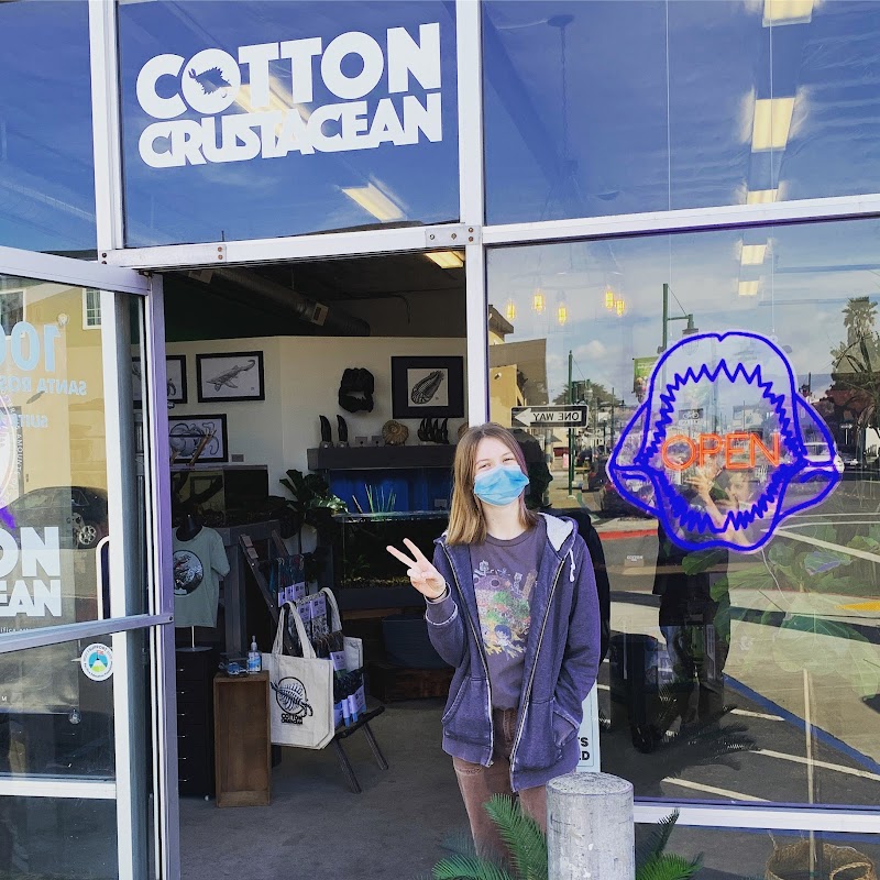 Photo of Cotton Crustacean