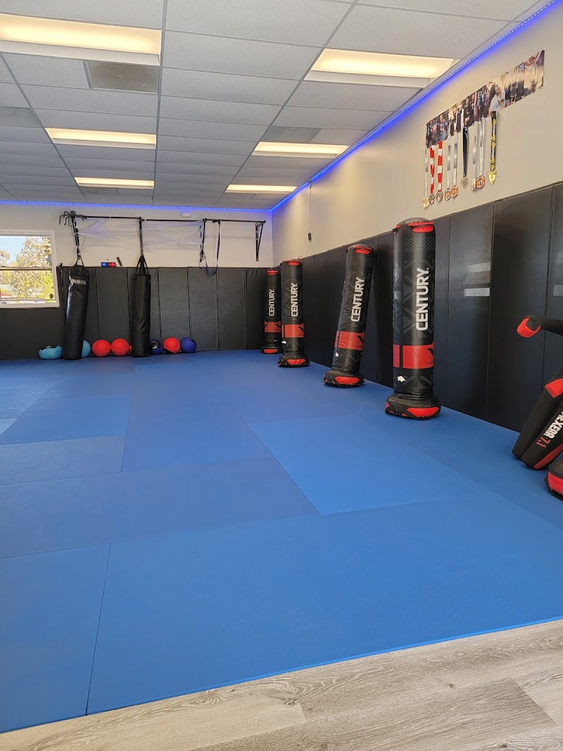 Photo of AKS Brazilian Jiu Jitsu & Affinity Kickboxing Studio