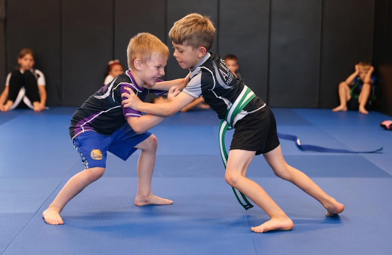 Affinity Kickboxing Studio, AKS Jiu Jitsu! photo 3