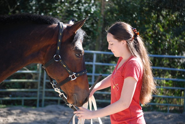 Sunset Riding Stables photo 3