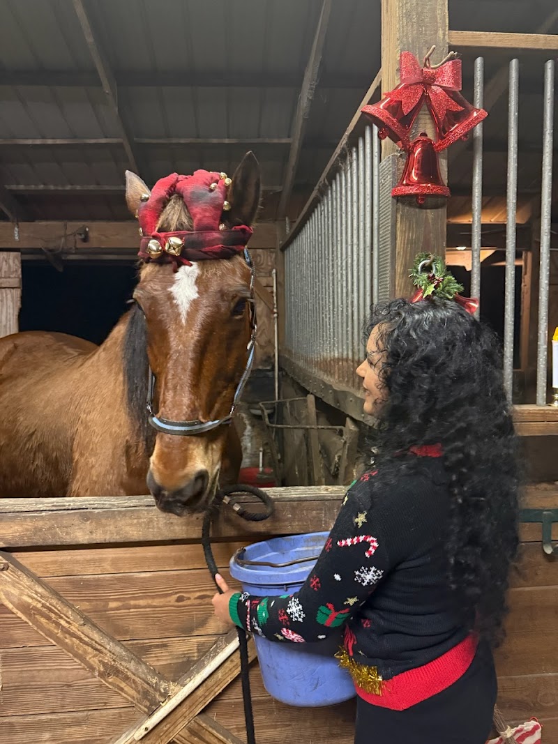 Sunset Riding Stables photo 4