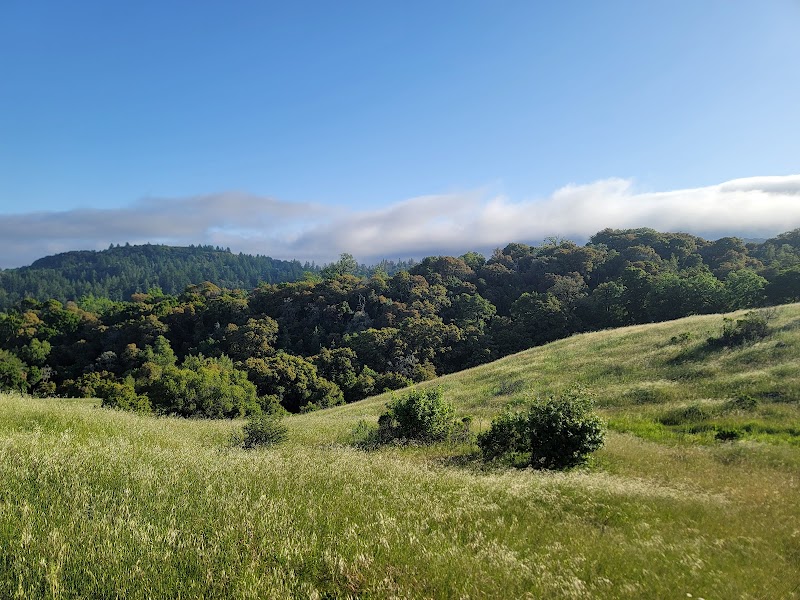 Photo of Monte Bello Open Space Preserve