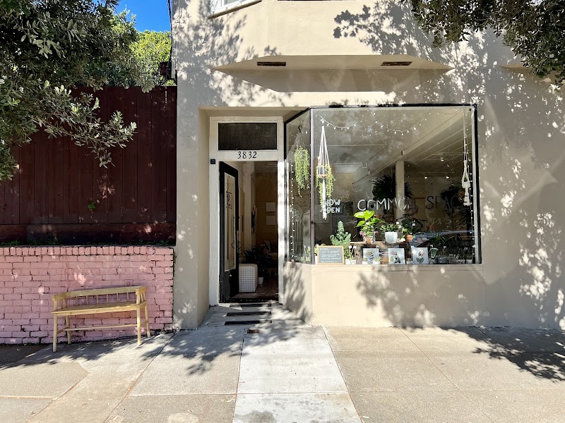 Common Space photo 5