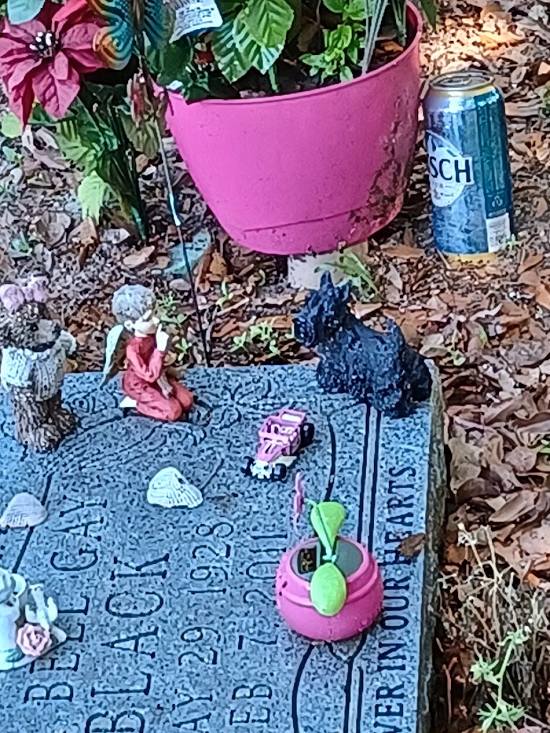 Garden of Memories Cemetery photo 4