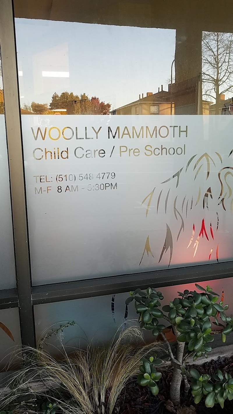 Woolly Mammoth Child Care photo 5