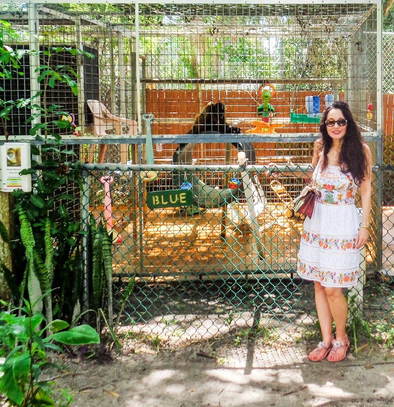 Suncoast Primate Sanctuary photo 5