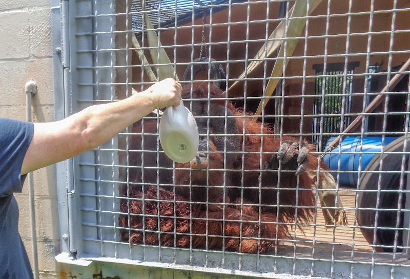 Photo of Suncoast Primate Sanctuary