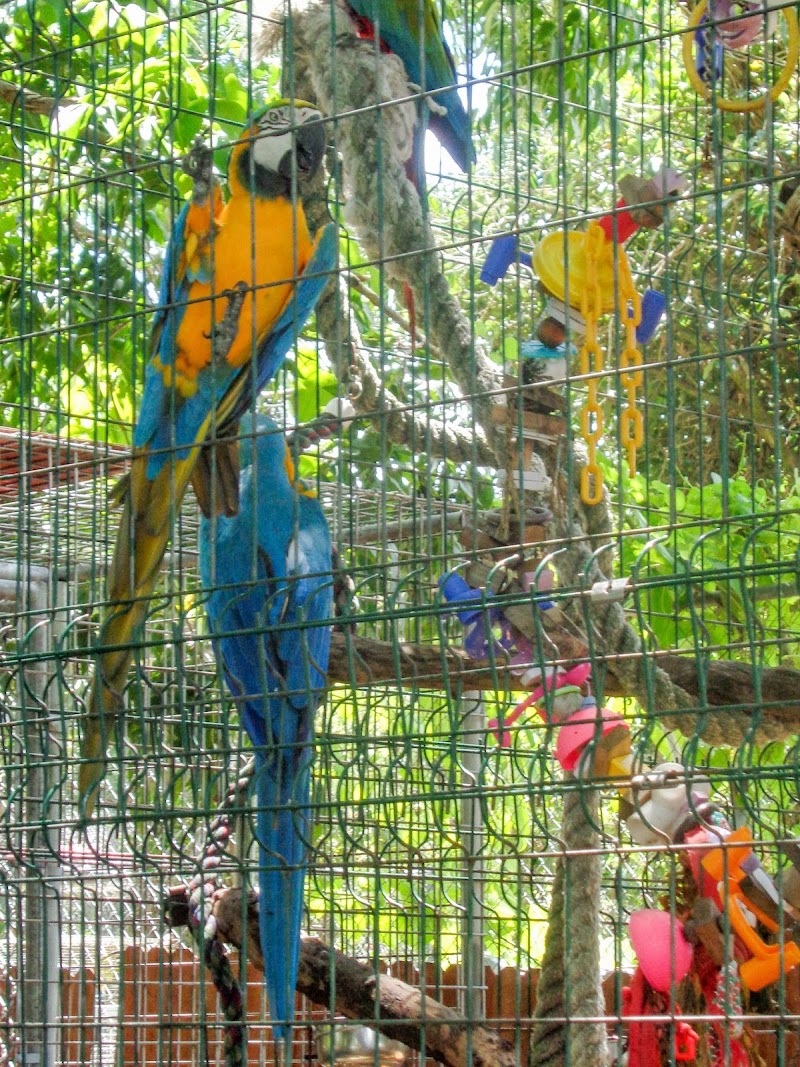 Suncoast Primate Sanctuary photo 3