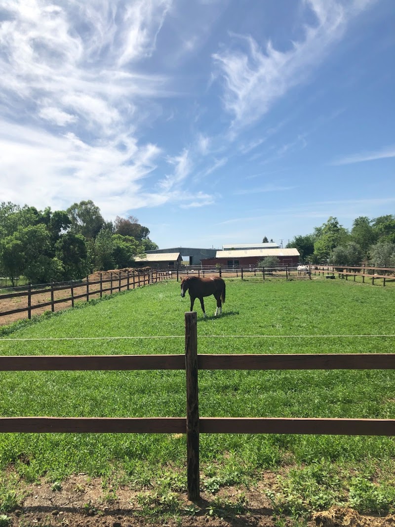 Little Reata Stables photo 3