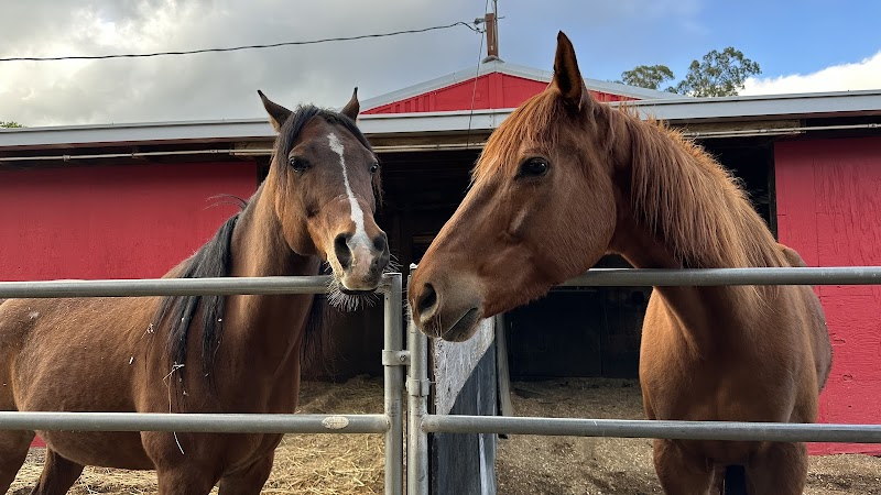 Little Reata Stables photo 2