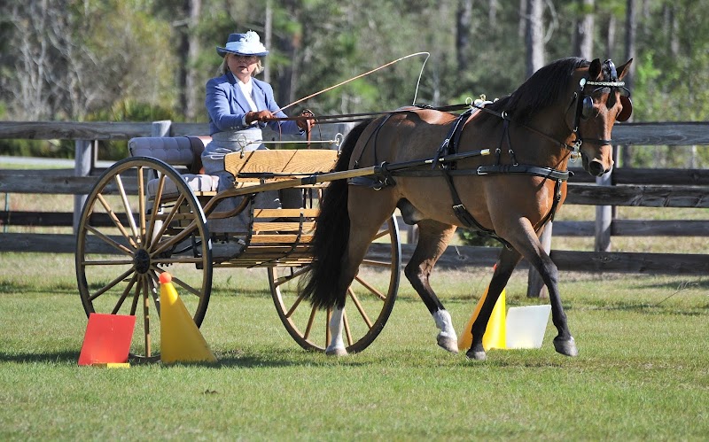 Carriage Gate Morgans photo 2