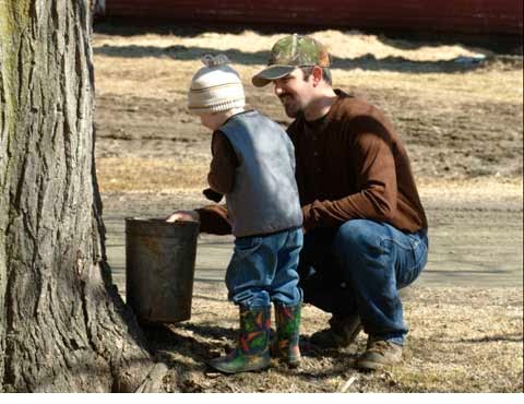 Liberty Hill Farm photo 4